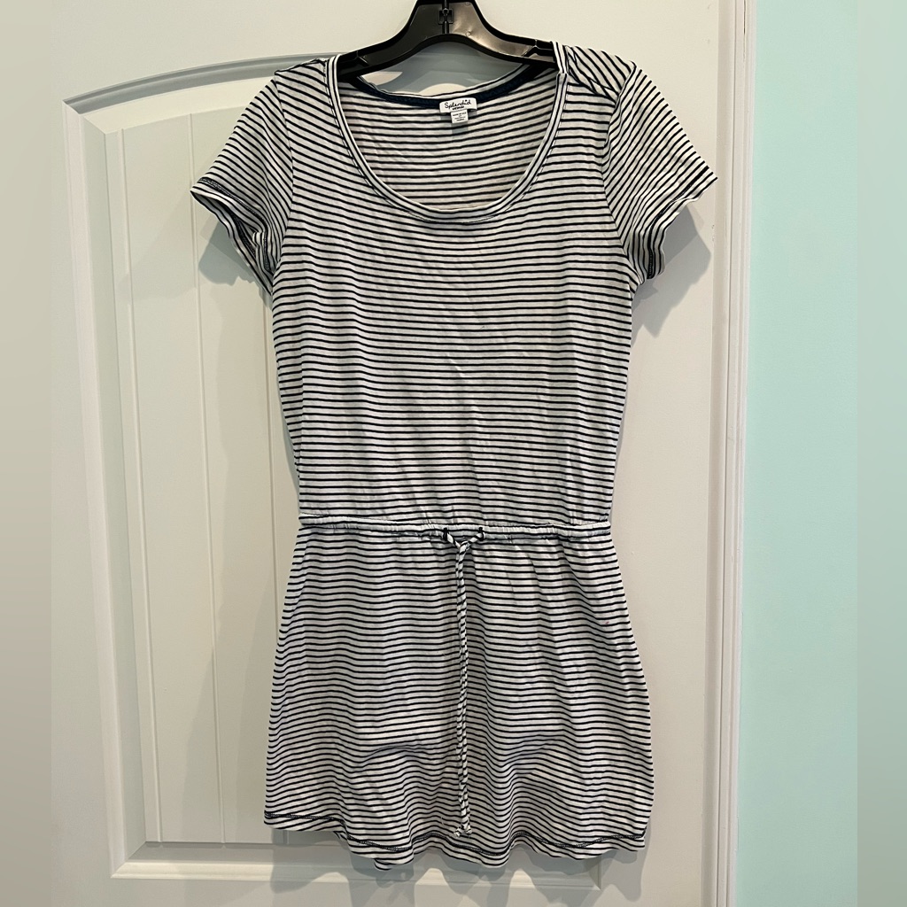 Splendid Blue Striped Dress